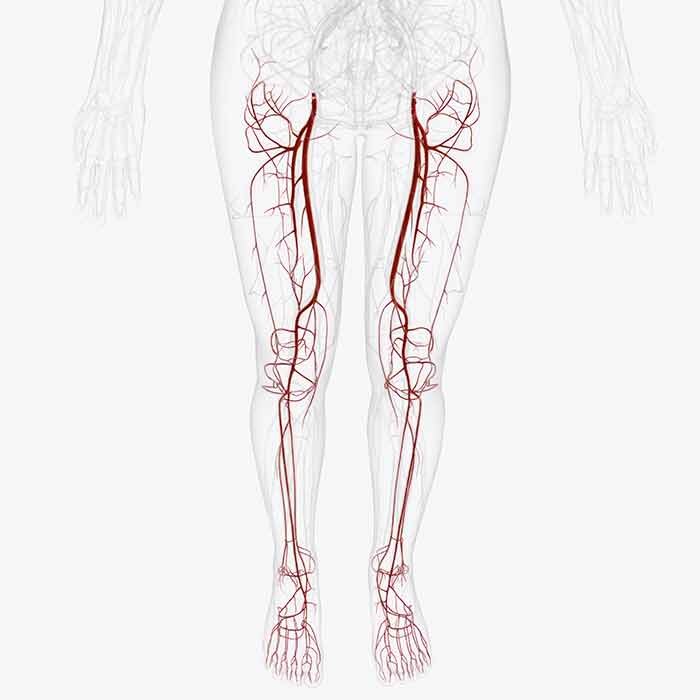 Comprendre la descente artérielle