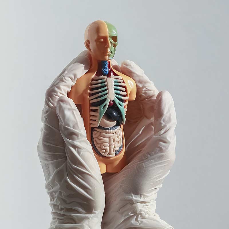 ostéopathie viscérale Montpellier