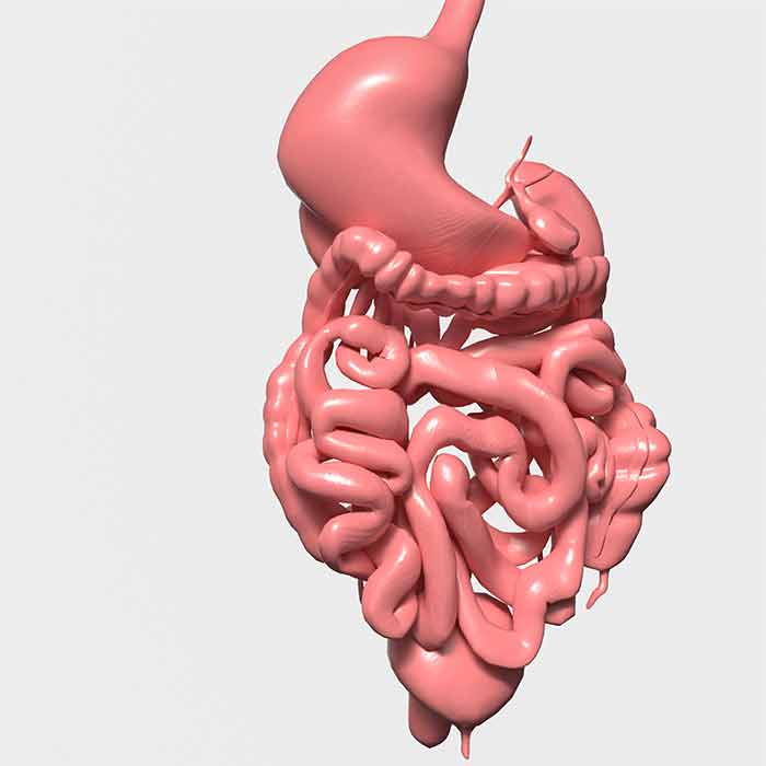 Relancer la mobilité viscérale